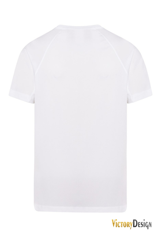 Koszulka T-shirt z reglanem + SUBLIMACJA PUNKTOWA dowolną grafiką KOLOR | PRODUKT z LOGO i GRAFIKĄ KLIENTA